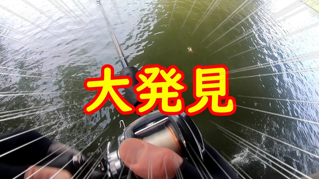 琵琶湖で大発見した漢【琵琶湖バス釣り】