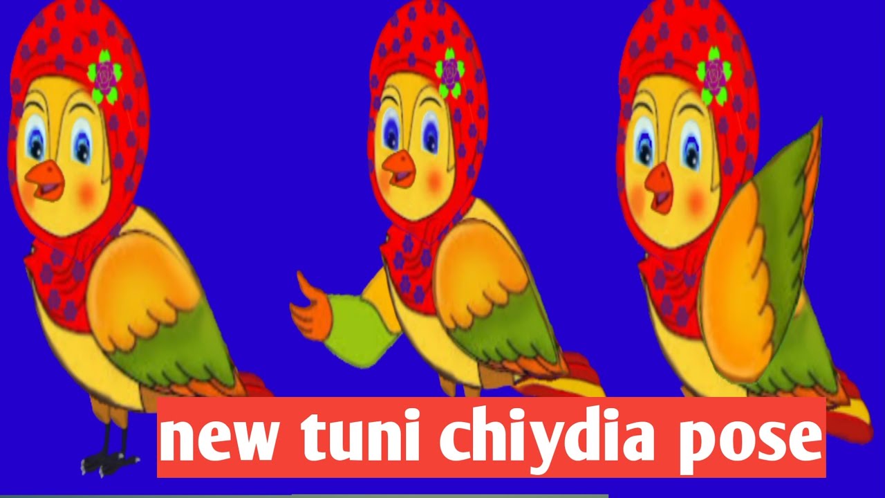 tunichiydia green screen video Tuni Chidiya green screen no copyright