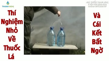 Thí nghiệm về tác hại thuốc lá và cái kết bất ngờ