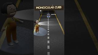 What is monocular cues# psychology