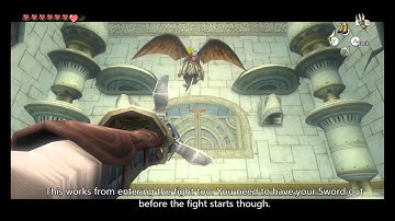 (Wii U) Aeralfos Skip Setup