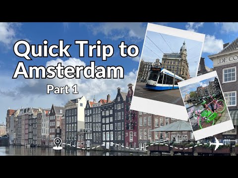 Amsterdam | Food Halls | Navigating Bike Lanes  | Canals  | City Center