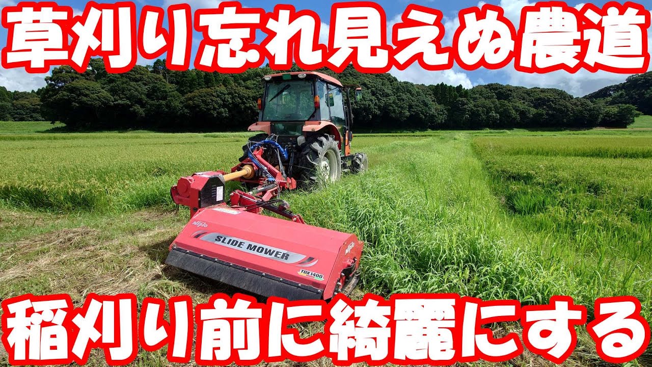 痛恨のミス。草刈りを忘れていた地区。