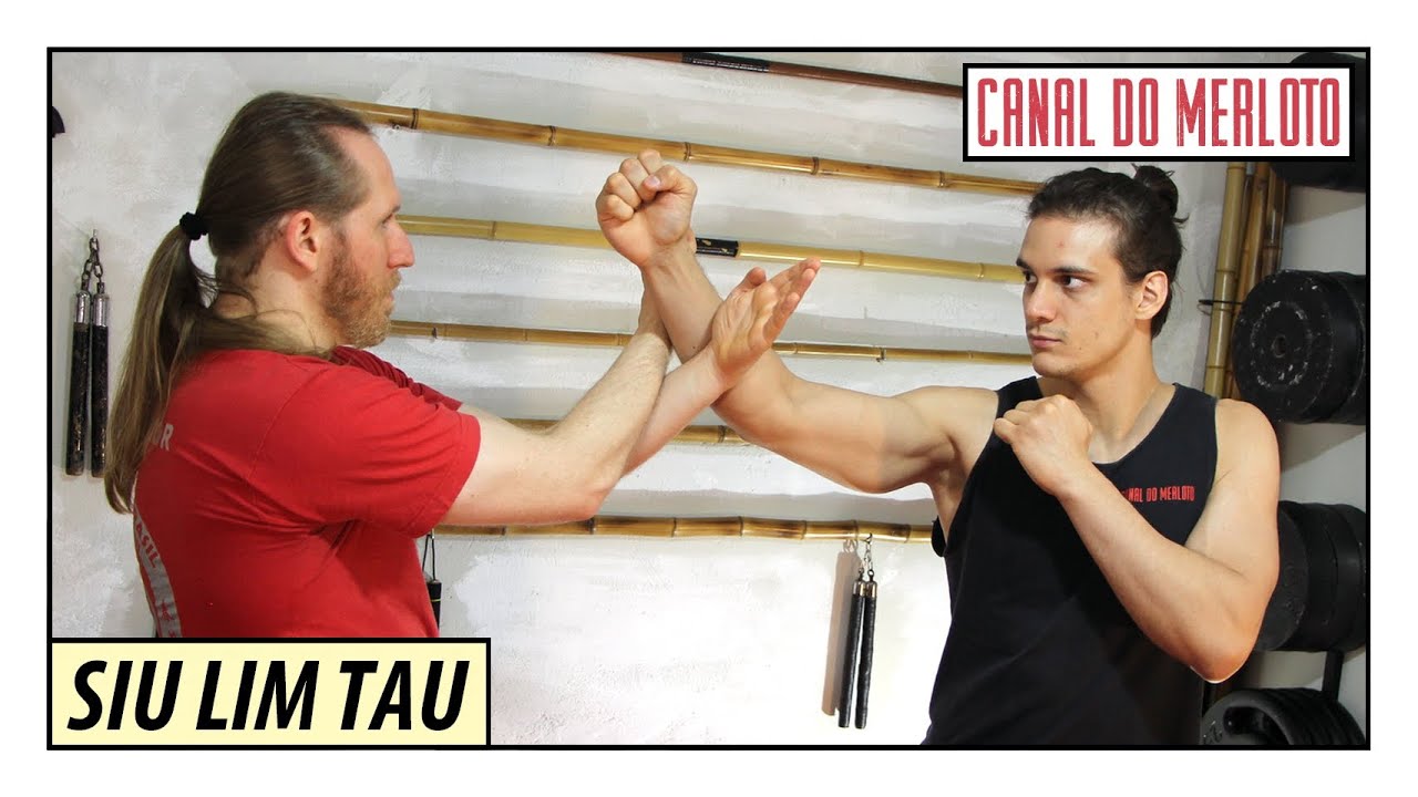 SIU LIM TAU: ENTENDENDO A PRIMEIRA FORMA DO WING CHUN
