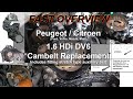 Quick overview of 1.6 HDi Cambelt Replacement