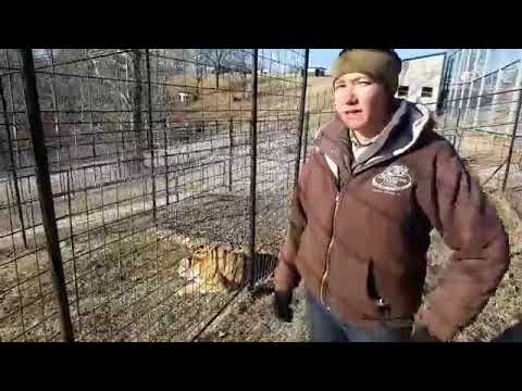 rescue dogs rock nyc Big Cat Live at TCWR: Episode 19