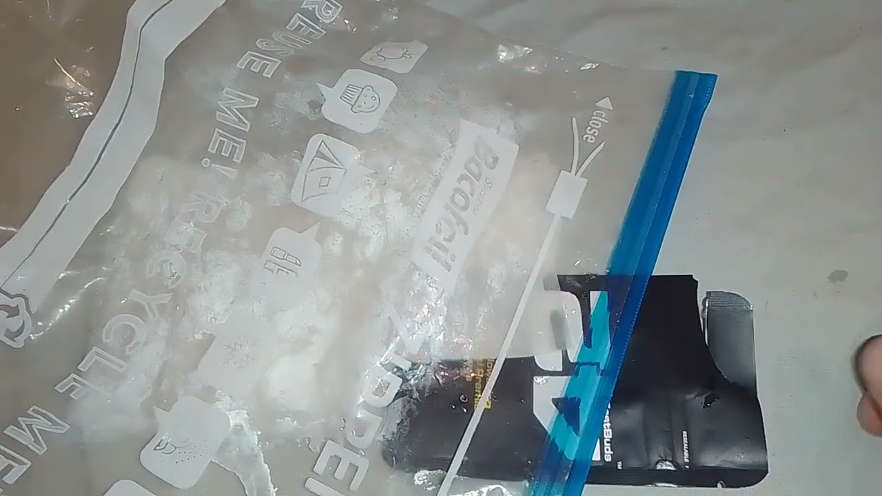 How To Germinate Seeds "Sour Jealousy Auto" TheScottishGrower way