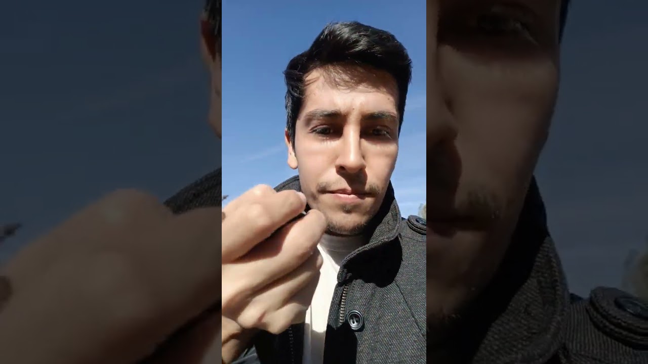 recolectando la cosecha del concha y toro 