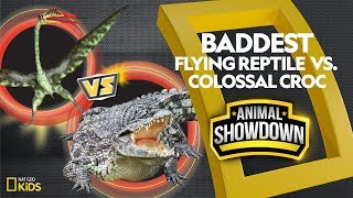 Flying Reptile vs. Colossal Croc: Battle for the Baddest | Animal Showdown