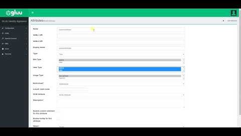 custom attribute creation