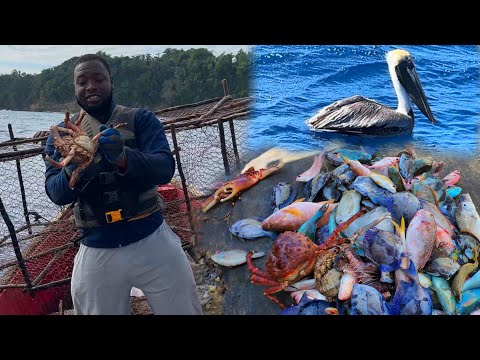 How Jamaican Fisherman Provide For Their Family