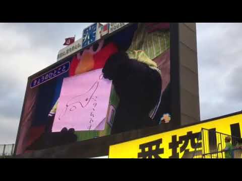2017/8/17 つば九郎の一言 「こんな土手はいやだ」