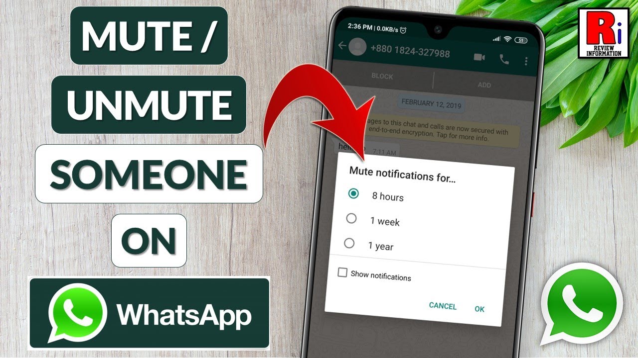 how to unmute whatsapp status