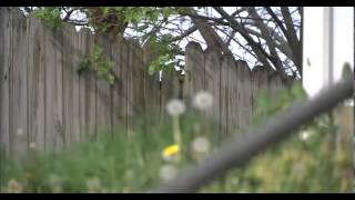 Circleville Abduction