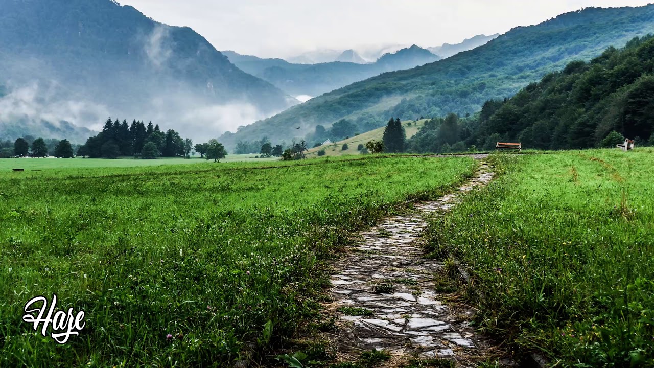 Rusted Root - Send Me On My Way (8D Audio🎧)