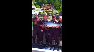 Wild Alaska King Salmon, Silver Salmon, Halibut, Yellow-Eye, Ling Cod and more..