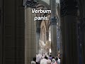 VERBUM PANIS #catolico #verbumpanis #iglesiacatolica