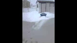 Jonas snow storm snow drifts