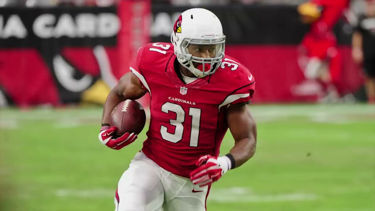 David Johnson 2016 Highlights