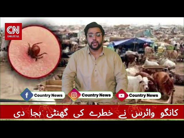کانگو وائرس کی واپسی، شہریوں میں تشویش