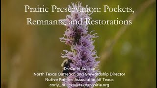 Native Prairies Association of Texas - Prairie Preservation: Pockets, Remnants, and Restorations