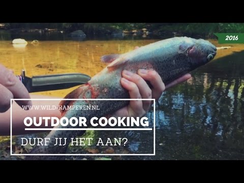 Video: Hoe Maak Je Een Vis Snel Schoon