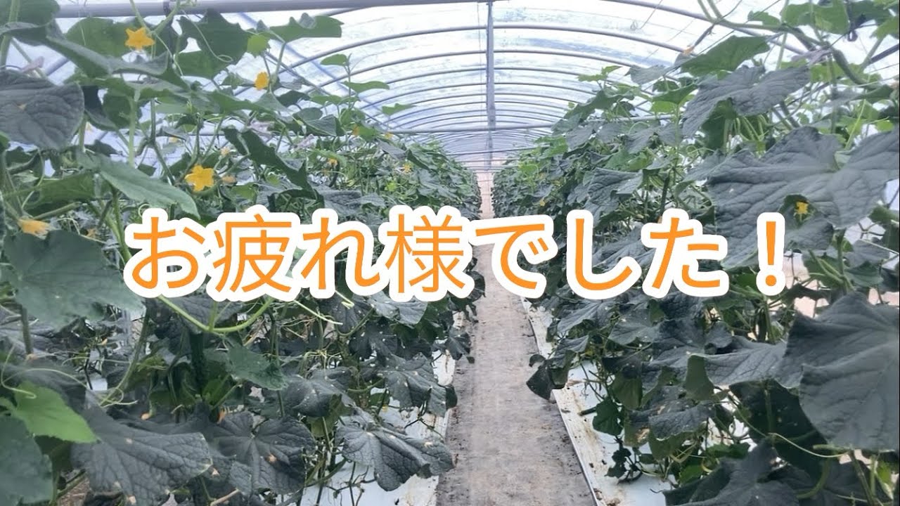 もう終わりにします