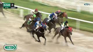 (Busan) 2025.08.10 R4