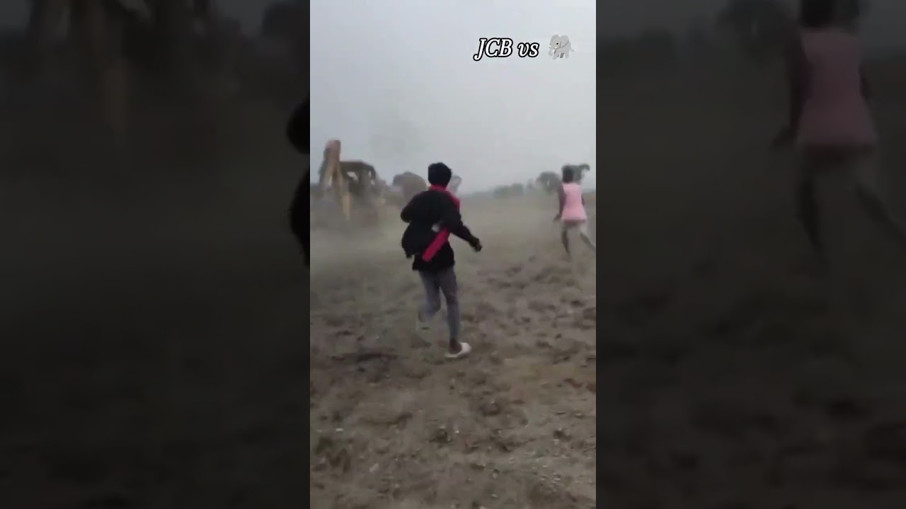 In India, an elephant disrupted a bulldozer during construction work. A worker attempted to drive…