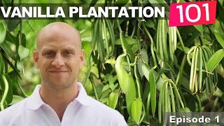 Vanilla Plantation 101: Land Preparation (Episode 1)