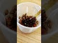 a day in the life of an aquarist #aquarium #snail #plague