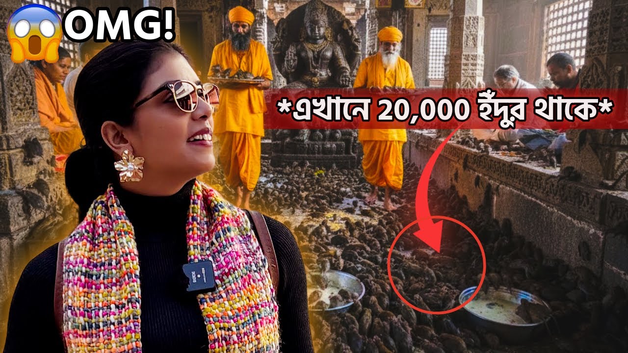 ২০,০০০ ইঁদুরের রহস্যময় মন্দির! এখানে ইঁদুরদের কেন পুজো করা হয়? 🐀✨RAT TEMPLE IN INDIA | KARNI MATA |