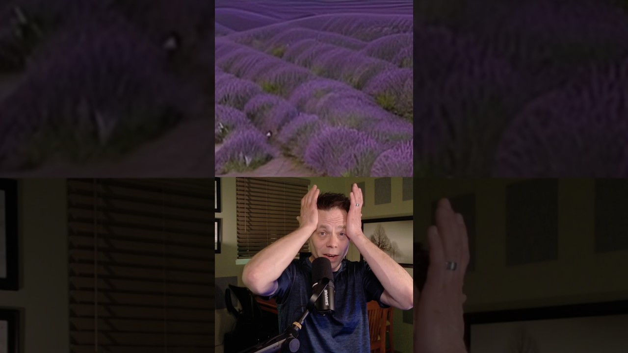 Jesus In Lavender🙏🤯