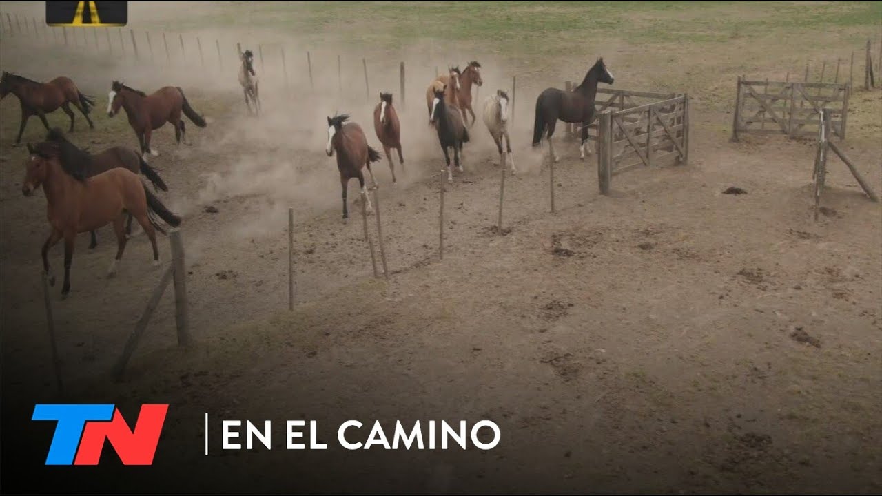 EN EL CAMINO - Caballos de la Argentina (Programa completo del 24/02/23)