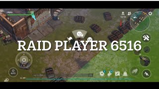 LDOE- raid player 6516