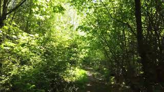 Famous How to suggest code changes to a junior dev? Net Worth