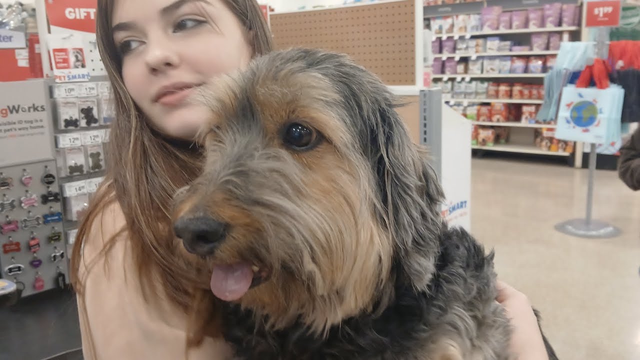 Come with me and my family with Buddy to PetSmart