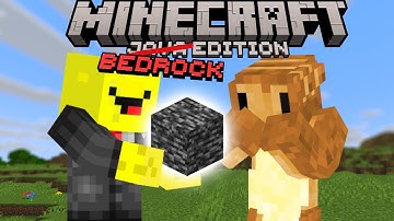 2 Minecraft Java Players Attempt BEDROCK...