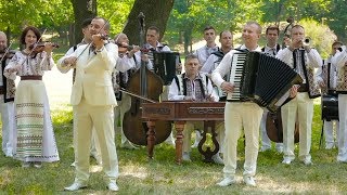 Video thumbnail of "Orchestra Fraților Advahov  - Corăgheasca"