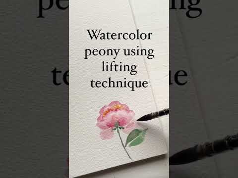 Easy watercolor peony