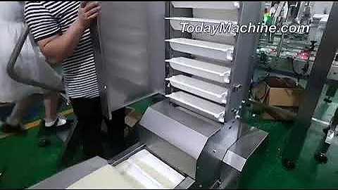 High Quality Z Type Finished Bucket Elevator Conveyor