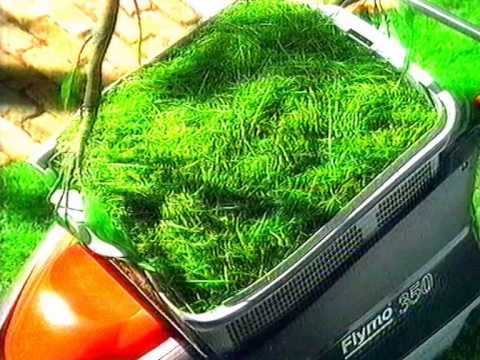 Flymo mower Add