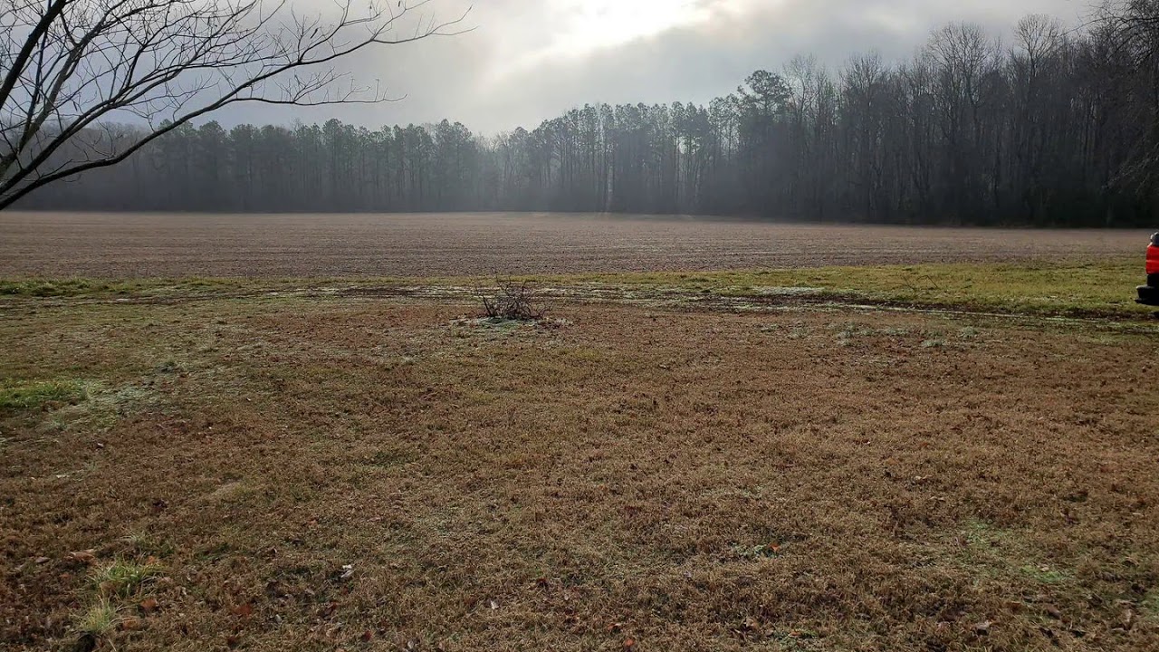 24540 Grove Road Federalsburg, MD 21632 Land Real Estate For Sale