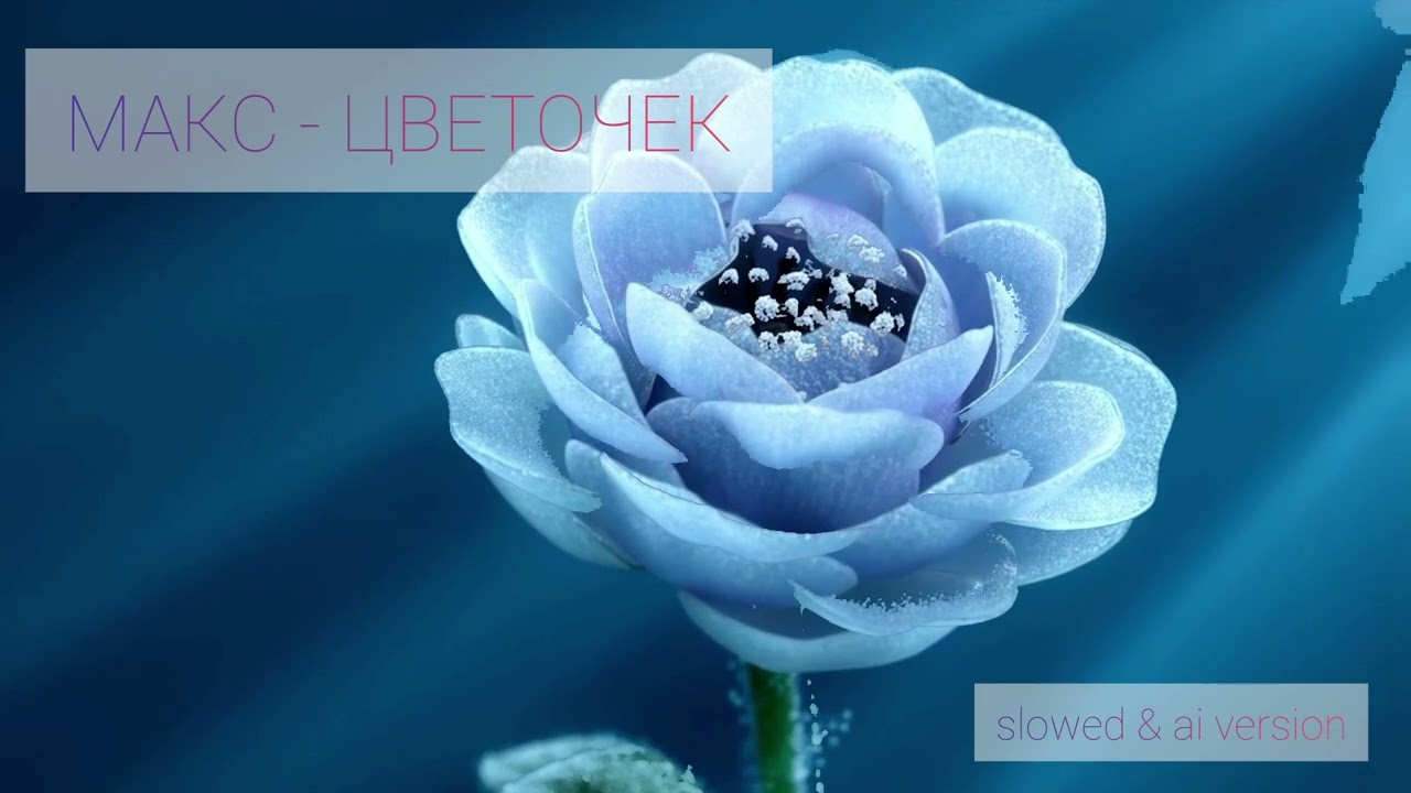 Макс — Цветочек (AI Cover / ИИ-версия)