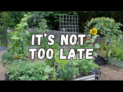 Your June Garden Chores Checklist for Every Region