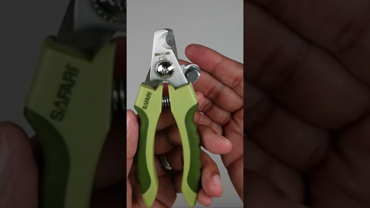 Paw Perfect Clippers/Mastering Dog Nail Care/Dog Nail Trimmer  #amazonfinds #pets #dog #dogtraining