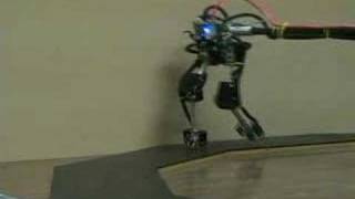 My bipedal robot finally walking!