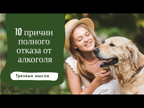 10 причин полного