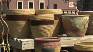 Backyard Farmer: Lifestyle Gardening Season 2-1