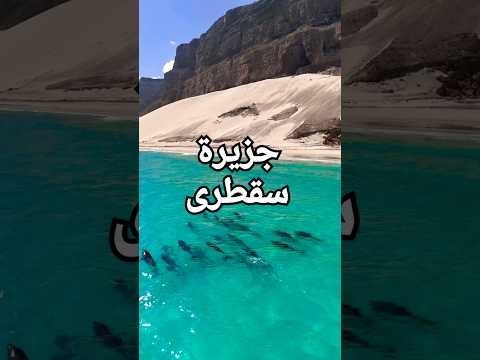 اكتشف جمال الطبيعة في جزيرة سقطرى حيث البحر أزرق صاف والأسماك واضحة للعيان جزير سقطرى سقطرى 